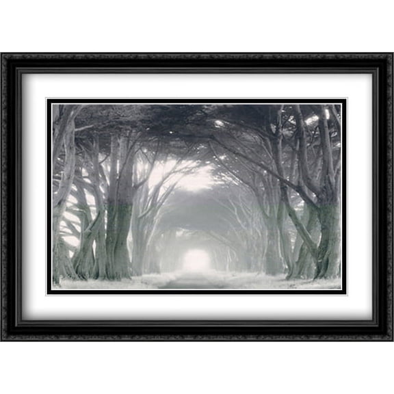 Into the Light 2x Matted 40x28 Large Black Ornate Framed Art Print by Edward Holland
