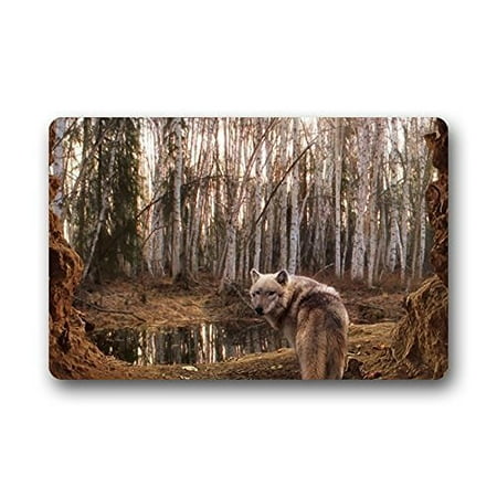 - WinHome Art Wolfs Doormat Floor Mats Rugs Outdoors/Indoor Doormat Size 23.6x15.7 inches