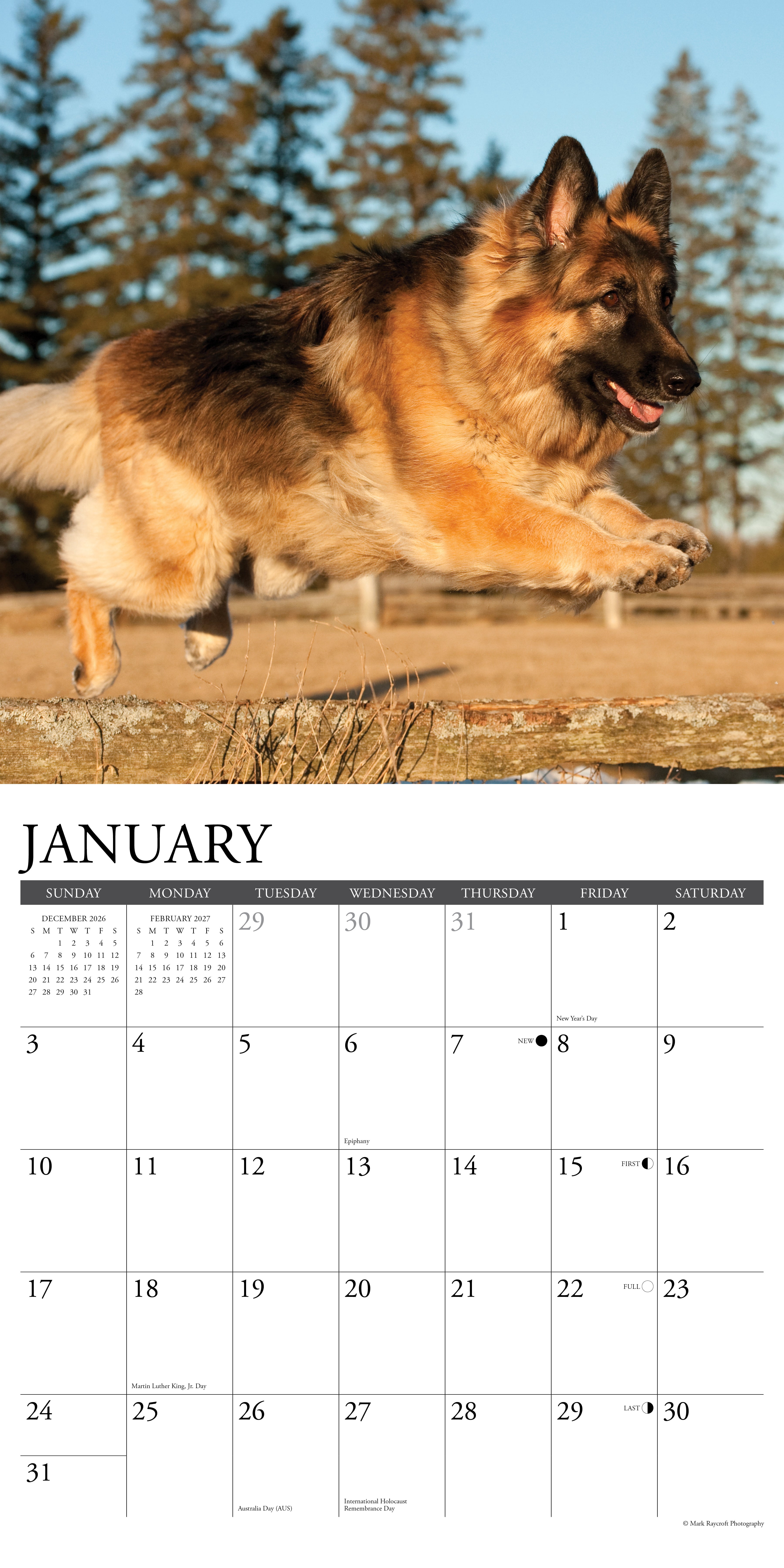 Willow Creek Press, German Shepherds 2027 Wall Calendar