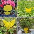 thumbnail image 6 of SPRING PARK 20Pcs Fruit Fly Traps Fungus Gnat Traps Yellow Sticky Bug Traps Non Toxic and for Indoor Outdoor Use Protect The Plant, 6 of 7