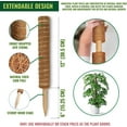 thumbnail image 3 of GARDENERA Coco Coir Poles for Monstera (Pack of 4) - 12" Monstera Plant Stakes, Sphagnum Handmade Coco Stick, Potted Plants Support/Totem Perfect for Small/Medium Climbing Plants Indoor, 3 of 7