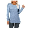 thumbnail image 1 of T-Shirts pour Femmes Manches Longues Hauts pour Dames Automne Couleur Unie Col Rond Sports Extérieurs Blouses Amples Automne Hiver Décontractées d'Affaires Bleu Clair G, 1 of 9