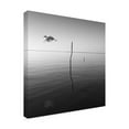 thumbnail image 4 of Trademark Fine Art "Fly" Canvas Art by Moises Levy, 4 of 4