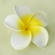 thumbnail image 2 of Pinza para El Pelo con Flores de Espuma de Plumeria para Mujer Baoblaze Accesorio de cabeza Blanco Y Amarillo, 2 of 8