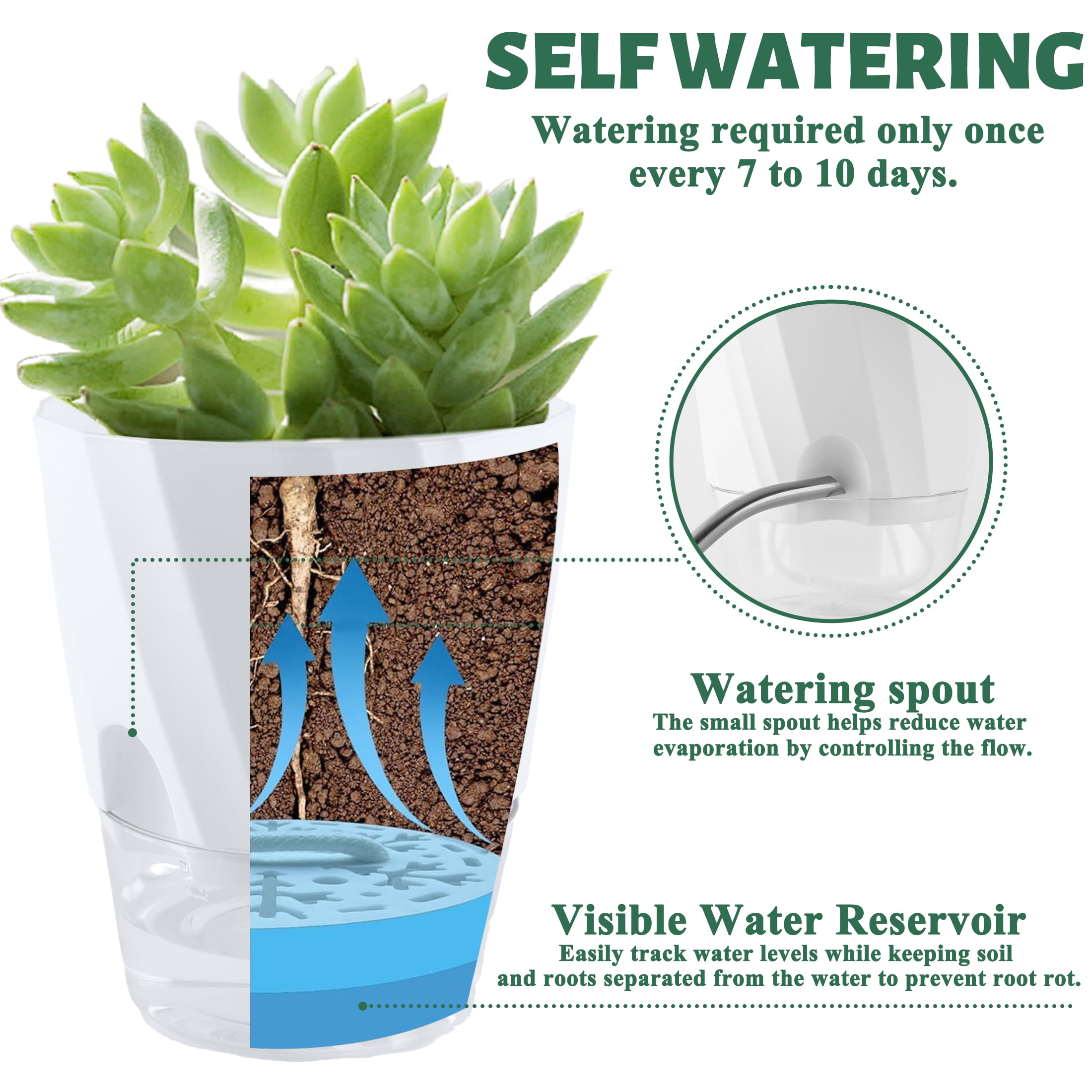 Fabulas Self Watering Planters, 6 Pack 4.5/5.9 Inch Plastic Self Watering Planter Pots with Wick Rope and Reservoir for Indoor Plants, African Violets, Orchid, Flowers, Herbs, White