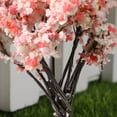 thumbnail image 2 of ORDDIART 10Pcs Miniature Tree For Indoor Use And Outdoor Use In Containers, 2 of 8