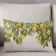 thumbnail image 3 of Summer Lemon Throw Pillow Covers, Green Botancial Summer Yellow Fruits Rustic Soft Breathable Pillow Cases with Invisible Zipper for Sleeping, Body Pillowcases for Couch Bed Sofa Chair 24x36 Inches, 3 of 6