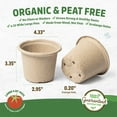 thumbnail image 6 of Back to the Roots 4.25" Organic Biodegradable Seed Starting Pots, Plantable Fiber (8 Pack), 6 of 13