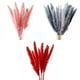 thumbnail image 1 of 45 Piezas Secas Grass Phragmites Reed Wedding Decor, 1 of 9