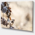 thumbnail image 2 of Belle Herbe Couverte de Glace - Impression sur Toile Florale, 2 of 4