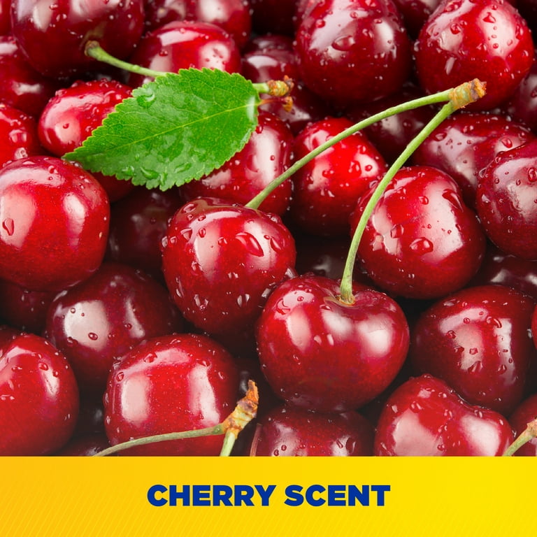 Zep Commercial Cherry Bomb Gel Hand Cleaner Cherry Scent 48 fl oz