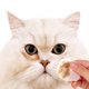 thumbnail image 4 of pstuiky Suministros para mascotas Pañuelos para ojos de mascotas Pañuelos de limpieza para manchas de lágrimas Adecuados para gatos para limpiar los ojos y eliminar las manchas de lágrimas, 4 of 6