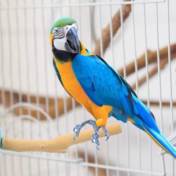 LOLIPPYY Brown Wooden Bird Cage Perch Stand for Parrots, and Easy to Install Bird Accessory