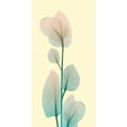 thumbnail image 2 of Koetsier, Albert 9x14 White Modern Wood Framed Museum Art Print Titled - Blissful Bloom 2, 2 of 4