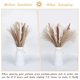 thumbnail image 4 of Hierba de pampa seca natural Afortunado decoración Boho, 4 of 5