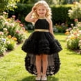 thumbnail image 2 of Zpanxa Girls Summer Dress Kid's Evening Dress Solid Round Neck Sleeveless Casual Dresses Black 3 Years, 2 of 7