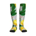 thumbnail image 3 of Compression Socks for Women and Men - Lemon Oil Painting Effect Compression Socks Circulation for Workout, 3 of 8