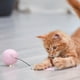 thumbnail image 4 of Mascota Multicolor Iluminación Gato Pelota Juguete Carga USB Inteligente Multicolor, 4 of 8
