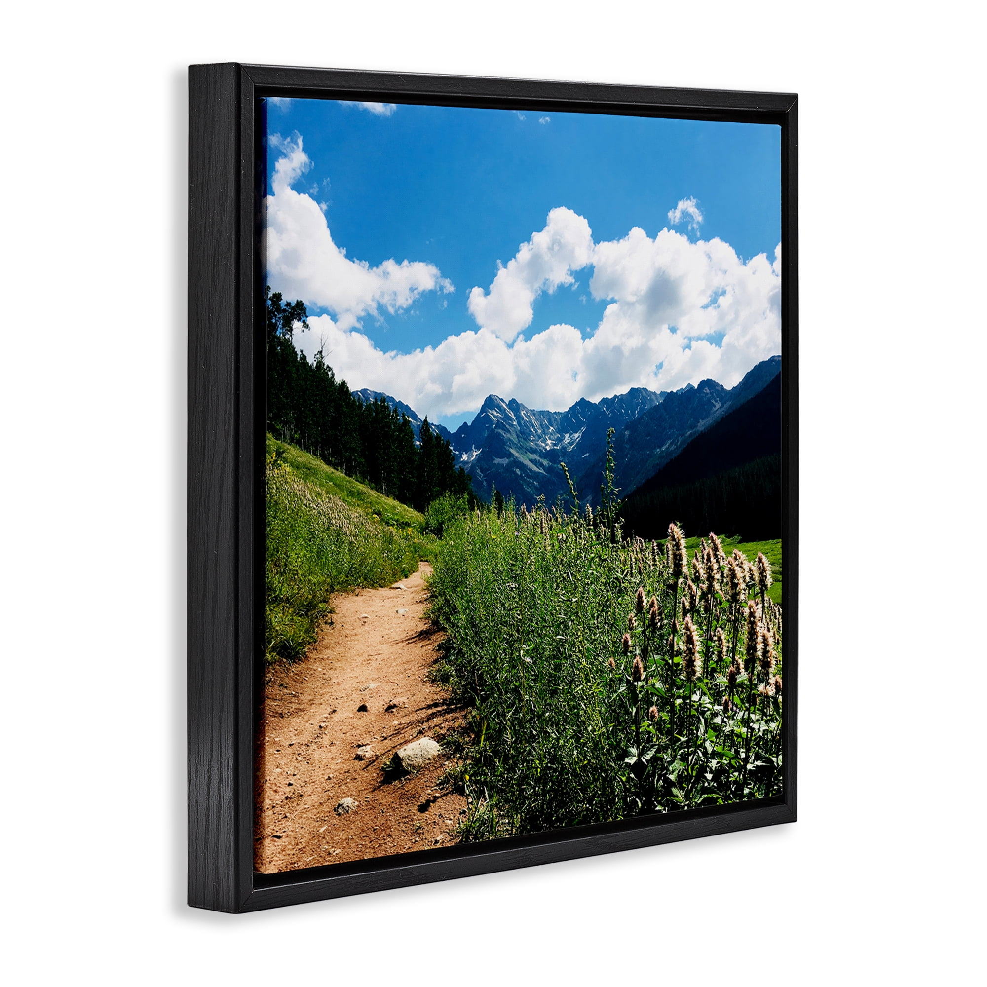 Stupell Industries Lovely Path with Clouds Landscape & Nature Photography Black Floater Framed Canvas Art Print Wall Art, 18 x 18