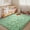 Mint Green, variant on Janvonne Soft Fluffy Rugs for Bedroom, 4x6ft Non Skid Shaggy Bedside Carpets for Living Room, Cozy Fuzzy Area Rug for Dorms, Home Decor, Mint Green
