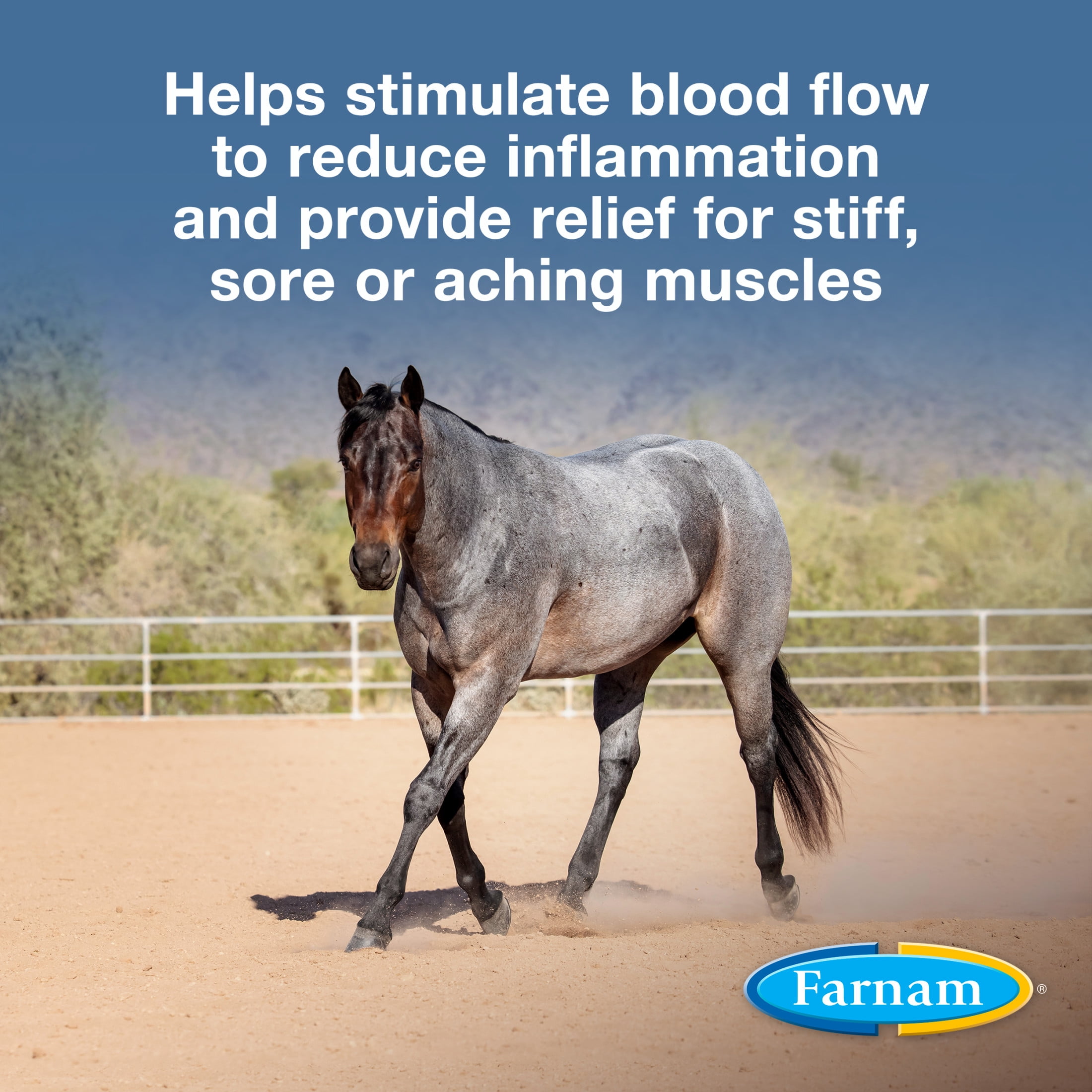 Farnam Vetrolin Horse Liniment for Muscle Soreness, Stiffness and Inflammation Relief on Horses, Helps Reduce Swelling 32 Fluid Ounces