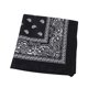 thumbnail image 1 of Toystoory Bufanda pequeña cuadrada de moda Hip hop Cool Guy mujeres hombres impresión cabeza envoltura rap estrella pañuelo cuello lazo para el pelo Accesorios para máquinas de ejercicios Negro Toystoory JJ15373-04, 1 of 1