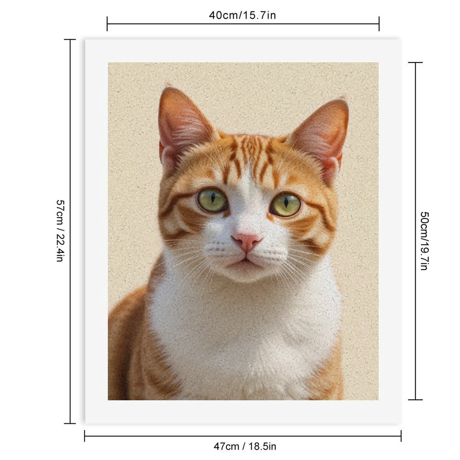 Paint By Numbers Kit for Adults Beginner - DIY Orange Tabby Cat Portrait Canvas Painting Kits for Adults, Frameless Paint By Number for Adults for Home Wall Decor 16x20 Inch