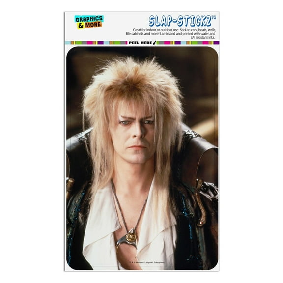 Labyrinth Goblin King David Bowie Portrait Home Business Office Sign