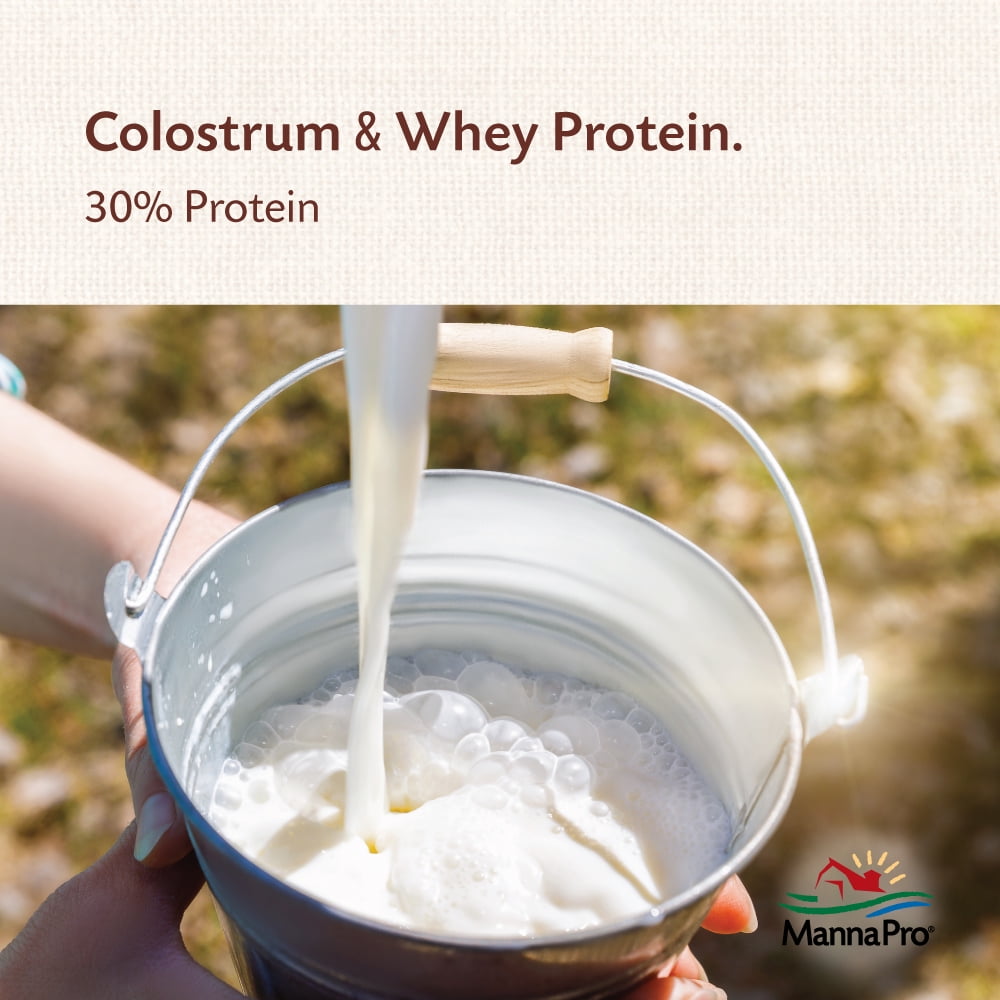 Manna Pro Goat Kid Colostrum 8 oz.