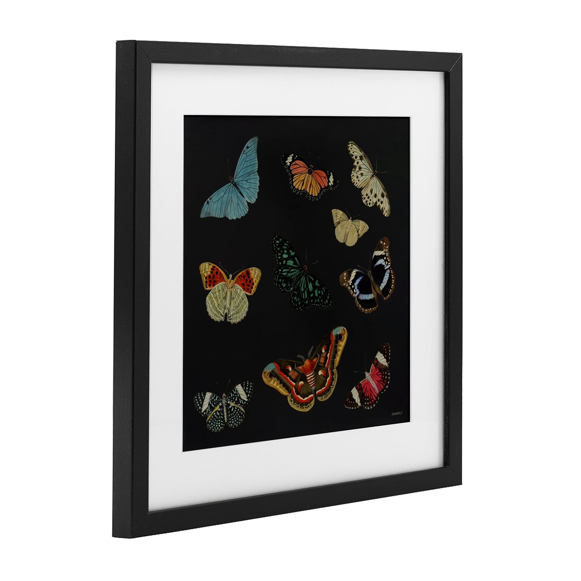 Stupell Industries Insects Group on Black Black Framed Print Under Glass, design by Dan Meneely