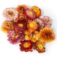 thumbnail image 3 of Dried Flowers, Natural Dried Flower Herbs Kit for Bath, Soap Making, Candle Making - 9Bag Include Dried Lavender, Rose Petals, Jasmine Flower and more, 3 of 8