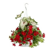 Angle View: 10 in. Embolden Combination Hanging Basket, Live Plant, Red and White Flowers