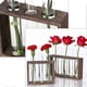 thumbnail image 2 of Test Tube Vase for Holding Plant 1Pcs Creative Flower Arranging Container, 2 of 3