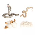 thumbnail image 1 of 3x animales de simulación modelo de ciclo de figuras de acción figurita regalo de bebé juguetes educativos para Baoblaze Juego de crecimiento para niños Cobra, 1 of 8
