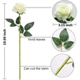 thumbnail image 4 of Morttic 12Pcs Roses Artificial Flowers Bulk Fake Silk Black Roses Bouquet with Long Stem, Faux Roses Flowers for Wedding Home Decorations Floral Arrangement Party Table Decor (White), 4 of 7