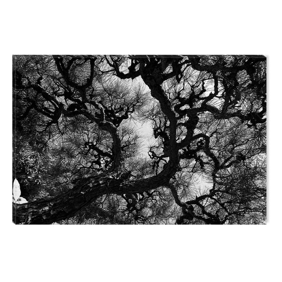 Startonight Canvas Wall Art Black and White Abstract Tree Pattern, Dual View Surprise Artwork Modern Framed Ready to Hang Wall Art 100% Original Art Painting 23.62 X 35.43 inch
