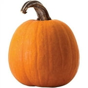 Carving Pumpkin, each
