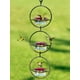 thumbnail image 2 of Comedero Circular para Colibríes Cgtredaw Cuenco de Cristal Rojo para Jardín Exterior 4 Uds, 2 of 9