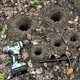 thumbnail image 2 of Broca para jardín de 80 y 40 mm, 2 piezas, brocas para jardín en espiral, práctica herramienta de plantación para hacer agujeros rápidamente y plantar flores, árboles, arbustos. Afortunado Sencillez, 2 of 5
