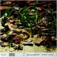 thumbnail image 2 of Penn-Plax Aquarama/Shalescape Plant Aquarium Background Decor, 2 of 2