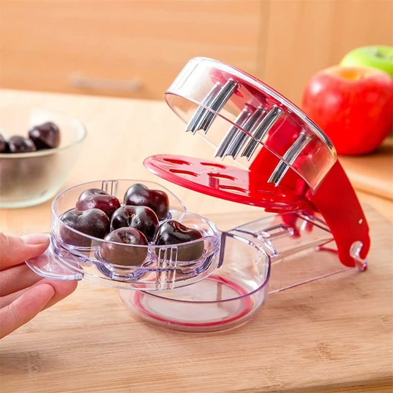 NOGIS 6 Hole Cherry Corer with Container Kitchen Gadgets Tools Novelty  Super Pitter Stone Remover 