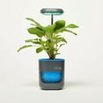 thumbnail image 2 of PICO Planter, 2 of 3