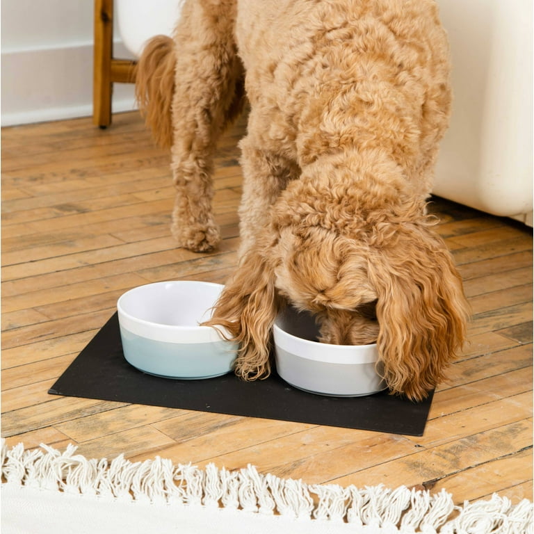 Waggo hotsell dipper bowl