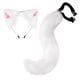 thumbnail image 1 of Colgante De Cola De Animal Adorable En 3D Para Halloween, Con Pompones, Cola Peluda A La Moda, 50 Cm, Cola De Peluche Para Halloween Con Diadema De Peluche Para Las Orejas, 1 of 6