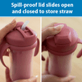 thumbnail image 6 of Dr. Brown's Milestones Insulated Sippy Cup with Straw and Handles, Pink, 10oz, 12m+, 2-Pack, 6 of 8