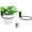 A, variant on Wall Mounted Ring Planter Stand Sports Storage Bracket Organizer For Basketball Football Gear