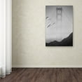 thumbnail image 4 of Trademark Fine Art "Golden Gate Pier and Birds I" Canvas Art by Moises Levy, 4 of 4