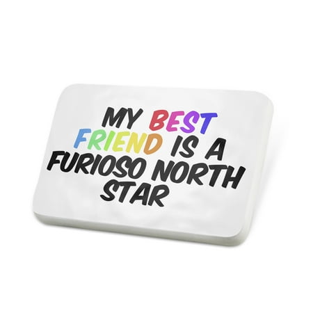 Porcelein Pin My best Friend a Furioso-North Star, Horse Lapel Badge –