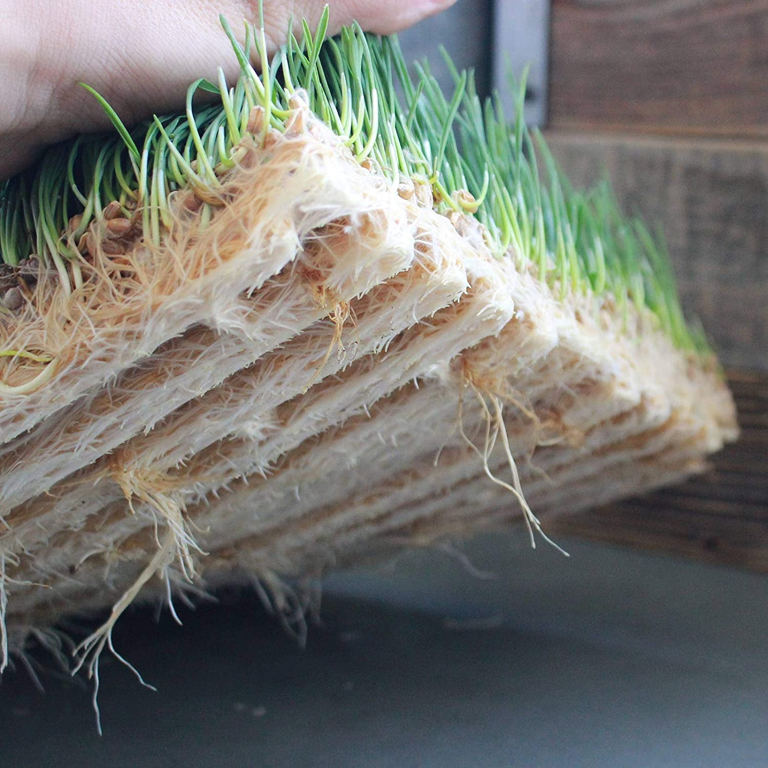 Pro Micro Jute Microgreens Grow Mats by Handy Pantry 10x10 Inches for