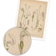 thumbnail image 3 of Imprimir Pintura Impermeable Imagen Flor Impresiones Sin Agrhregarlamadas Floral Planta Moderno Póster Decoración del hogar Dormitorio 3pcs Inevent HA010920-00, 3 of 7